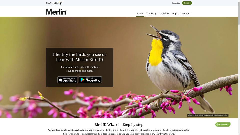 Merlin Bird Id - Obt.ai